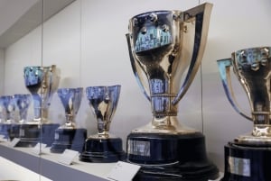 Madrid: Santiago Bernabéu y Real Madrid Visita guiada