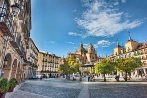 Madrid: Private Tagestour nach Segovia und La Mancha