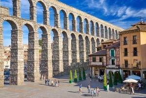 Madrid: Private Tagestour nach Segovia und La Mancha