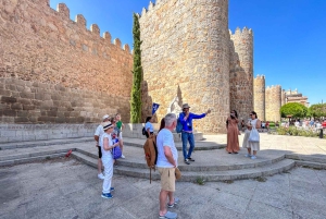 Madrid: Segovia & Ávila heldag med Alcázar- och murbiljetter