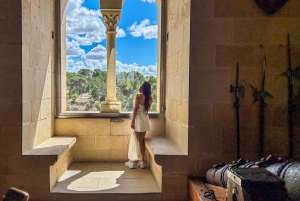 Madrid: Segovia & Ávila heldag med Alcázar- och murbiljetter