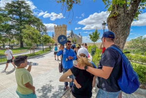 Madrid: Segovia & Ávila heldag med Alcázar- och murbiljetter