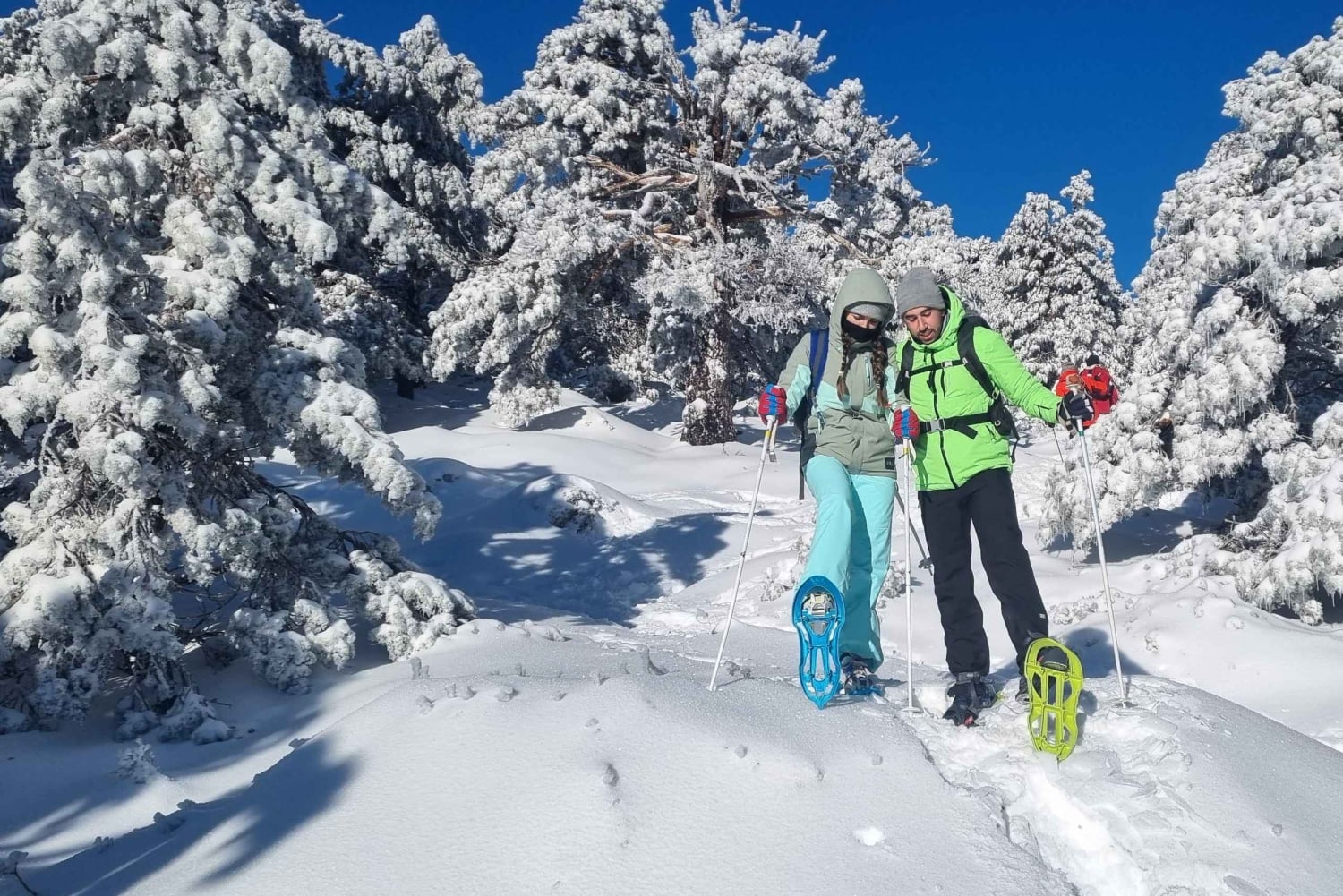 Madrid: Tour de raquetas de nieve