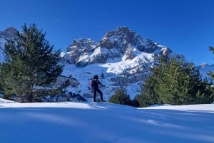 Madryt: Wycieczka na rakietach śnieżnych