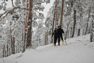 Madryt: Wycieczka na rakietach śnieżnych