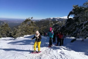 Madrid: Snøscooter