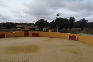 Madrid: Spanish Bull Ranch Half-Day Guided Tour
