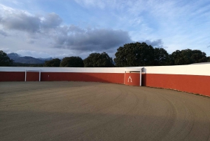 Madrid: Spanish Bull Ranch Half-Day Guided Tour