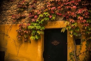 Madrid : Raconter une histoire à travers la photographie