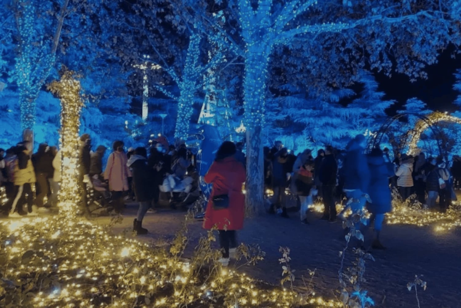 マドリード：Tuk Tuk Zeroで楽しむクリスマスライトのグランドツアー。1時間30分