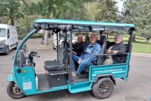 マドリード：Tuk Tuk Zeroで楽しむクリスマスライトのグランドツアー。1時間30分