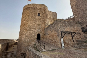 Madrid à Tolède et les moulins à vent de Don Quichotte — Expérience privée