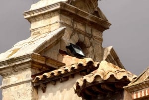 Madrid à Tolède et les moulins à vent de Don Quichotte — Expérience privée