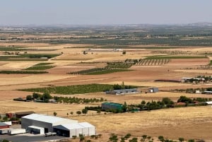 Madrid à Tolède et les moulins à vent de Don Quichotte — Expérience privée