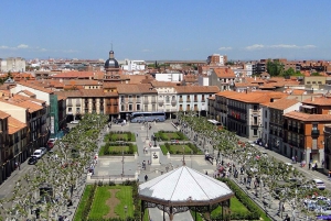 Madrid : Voyage privé à Tolède, Aranjuez et Alcala de Henares