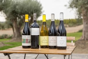 Madrid : excursion d'une journée à Tolède avec visite d'un vignoble et dégustation de vin