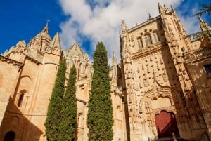 Vanuit Madrid: Dagtocht naar Ávila en Salamanca met gids