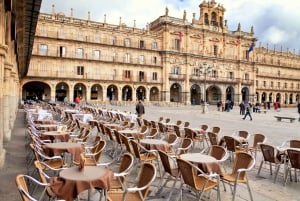 Från Madrid: Dagsutflykt till Ávila och Salamanca med guidad tur