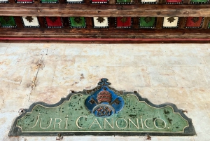 Från Madrid: Ávila och Salamanca en dag bland historia och murar