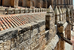 Från Madrid: Ávila och Salamanca en dag bland historia och murar