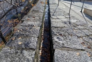 Madrid: Tour di Segovia e La Granja de San Ildefonso