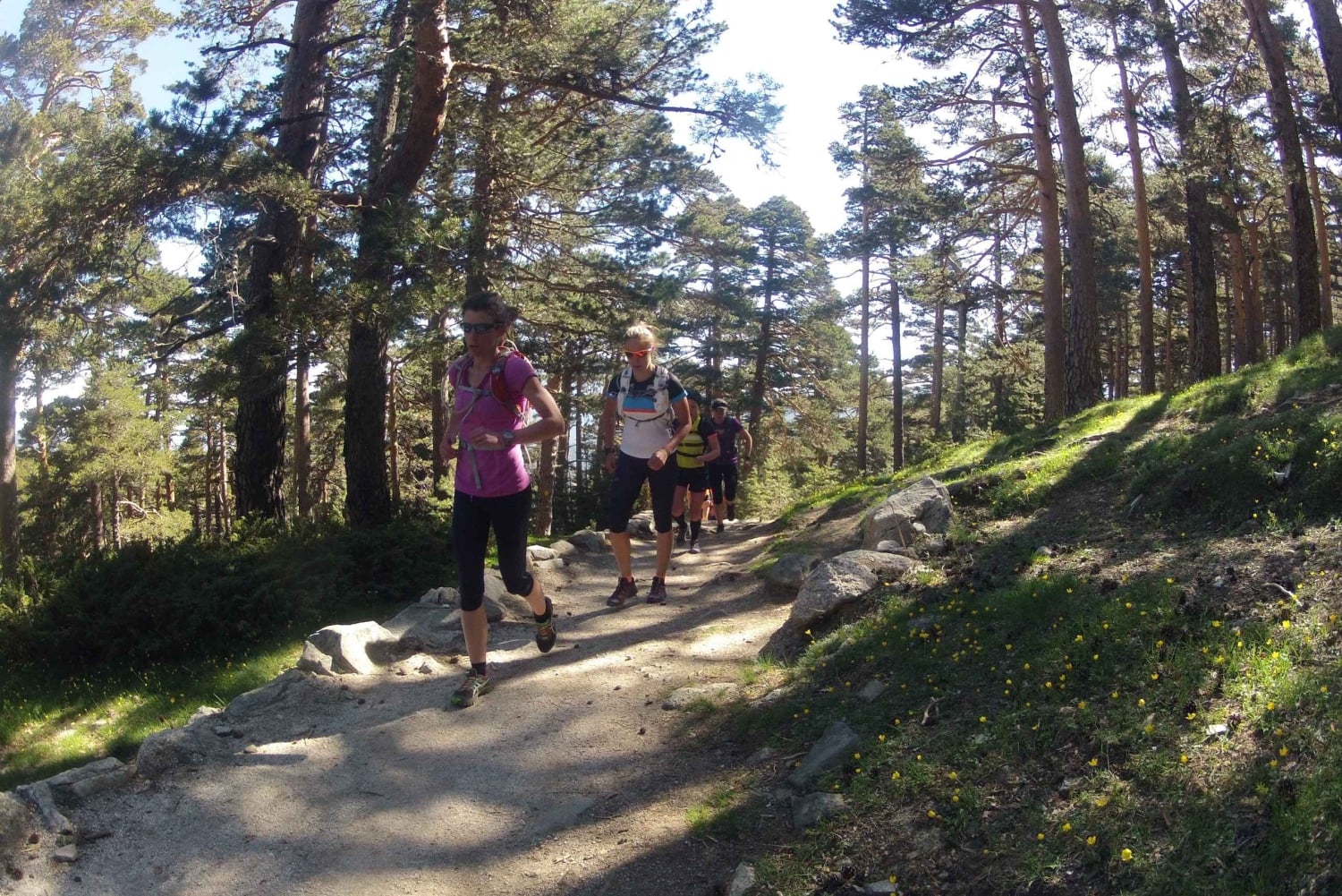 Madrid: Viagem de 1 dia em Trail Running