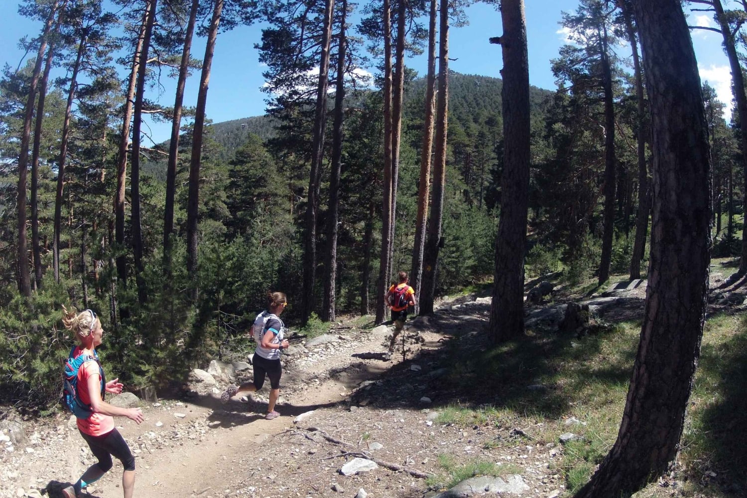 Madrid: Viagem de 1 dia em Trail Running