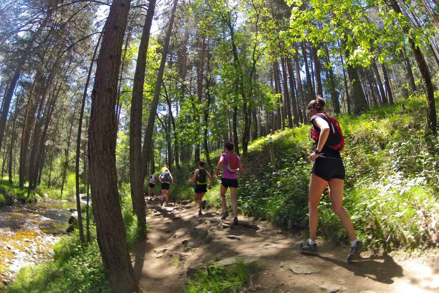 Madrid: Viagem de 1 dia em Trail Running