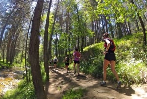 Madrid: Viagem de 1 dia em Trail Running