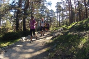 Madrid: Dagstur med trailrunning