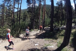 Madrid: Excursión de un día de Trail Running