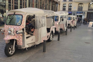 Madrid: Alt i ett sightseeing i byen (3 timer)