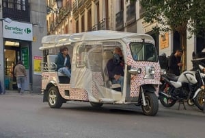 Madrid: Alt i ett sightseeing i byen (3 timer)