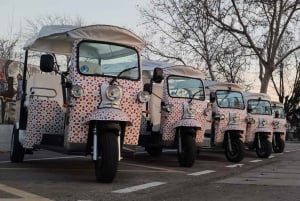 Madrid: Alt i ett sightseeing i byen (3 timer)