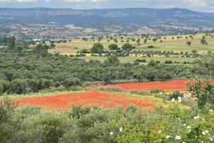 Madrid : L'Espagne intacte pour les gourmands et les amoureux de la nature ❤️'s