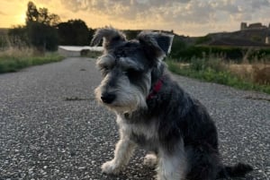 Madrid: Uberørt Spania for matelskere og naturinteresserte ❤️