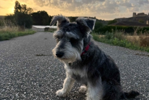 Madri: Espanha intocada para quem gosta de comida e natureza ❤️