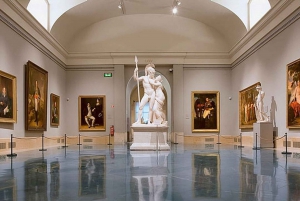 Madrid Visita privada: Museo del Prado y Reina Sofía con servicio de recogida