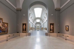 Madrid Visita privada: Museo del Prado y Reina Sofía con servicio de recogida