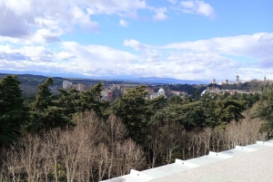 Madrid: Walking Tour of the City’s Top Landmarks