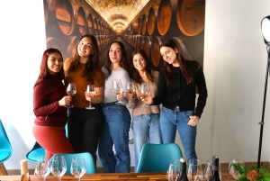 Madri: Experiência de degustação de vinhos com 4 vinhos espanhóis