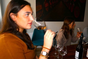 Madri: Experiência de degustação de vinhos com 4 vinhos espanhóis