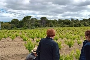 Vintur i Madrid: Upptäck unika lokala vingårdar och provningar