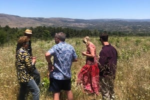 Vintur i Madrid: Upptäck unika lokala vingårdar och provningar