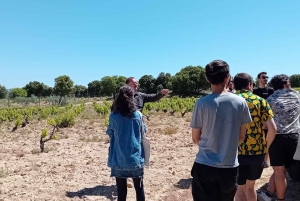 Vintur i Madrid: Upptäck unika lokala vingårdar och provningar