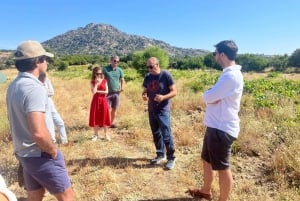 Vintur i Madrid: Upptäck unika lokala vingårdar och provningar