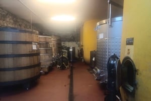 Vintur i Madrid: Upptäck unika lokala vingårdar och provningar