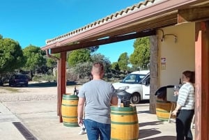 Madrid: Visita a Bodega con Cata en Inglés o Español