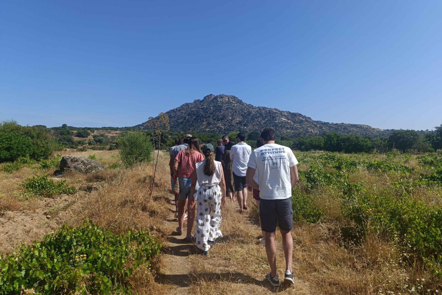 Madrid Winery Tour: Besøk og smaking med sommelierguide