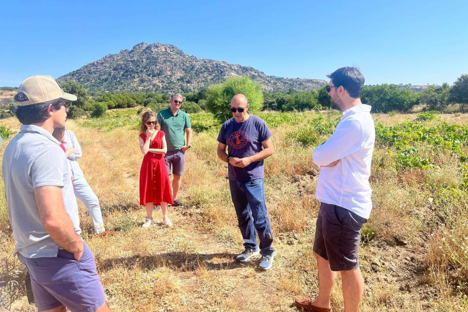 Madrid Winery Tour: Besøk og smaking med sommelierguide